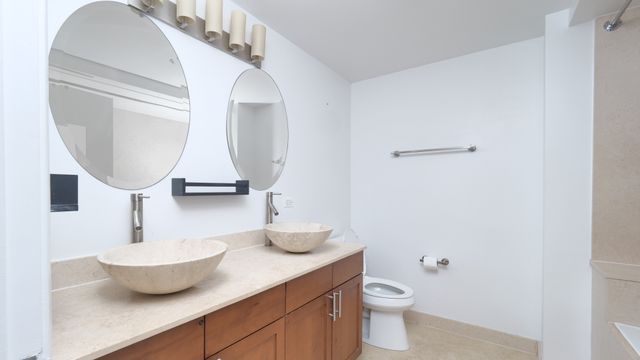 2545 S Dearborn Street 309, Chicago, IL 60616