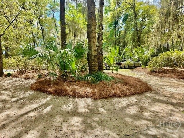 70 Passaic Lane, Richmond Hill, GA 31324