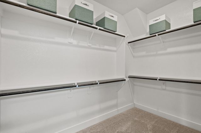 5307 Palo Verde Drive, Iowa Colony, TX 77578