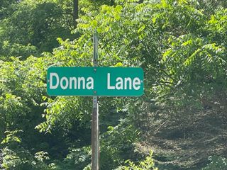 0 Donna Lane, Dryden Twp, MI 48428