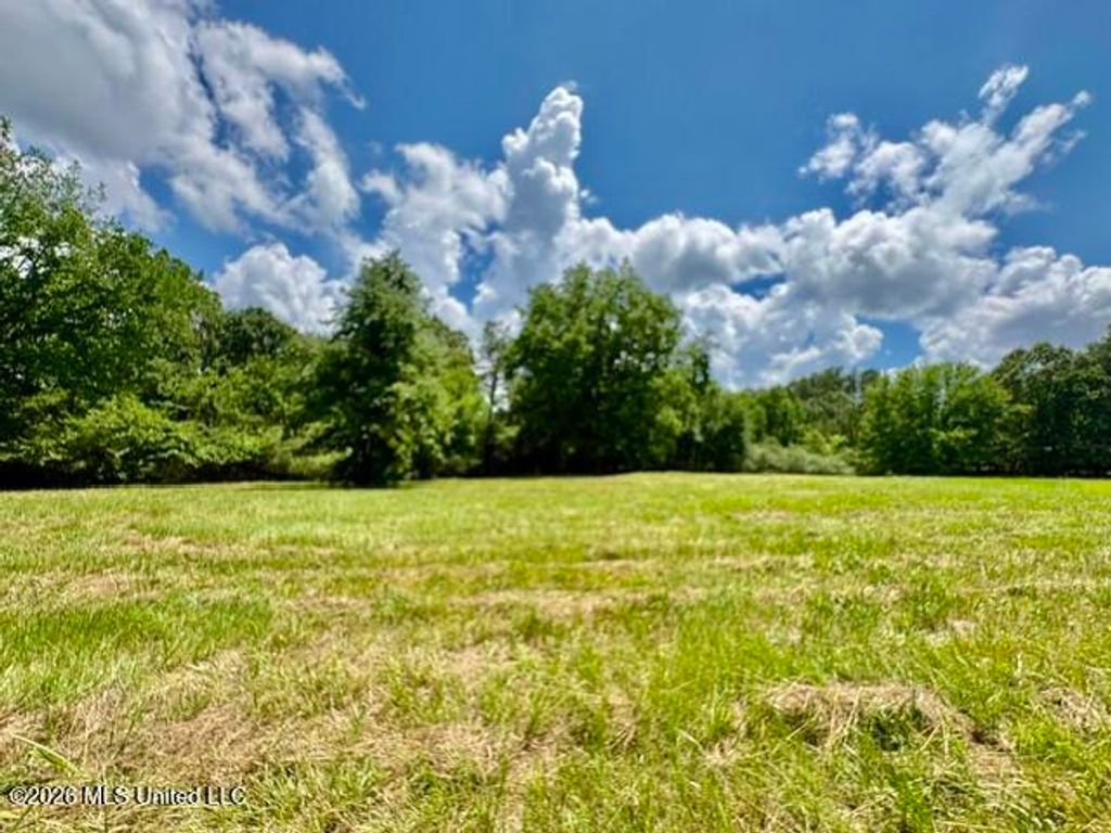 703 Burton Road, Senatobia, MS 38668 — exterior