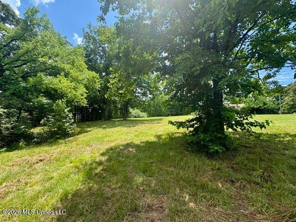 703 Burton Road, Senatobia, MS 38668 — photo 2