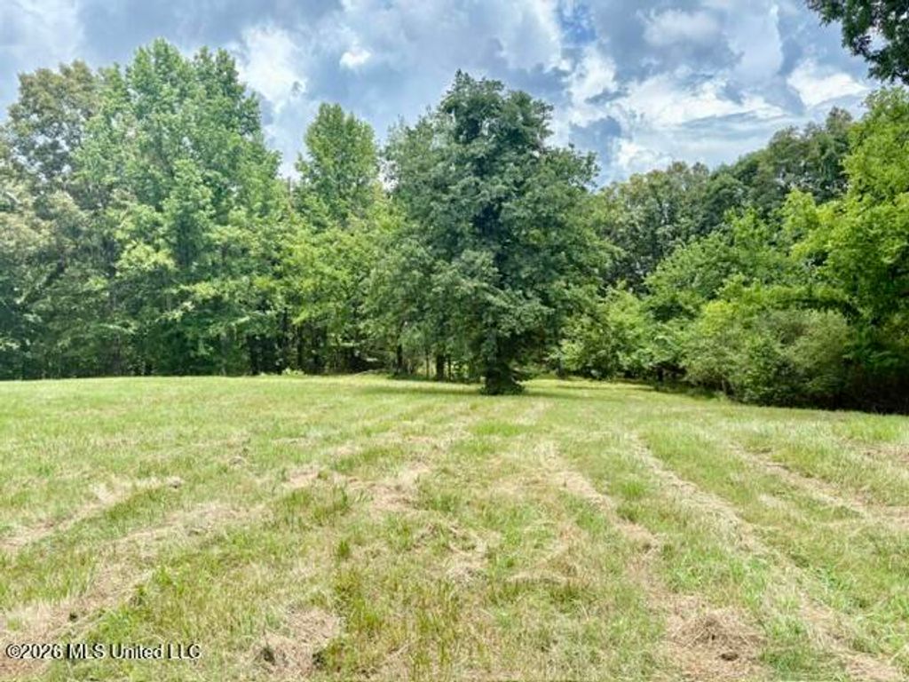 703 Burton Road, Senatobia, MS 38668 — photo 3