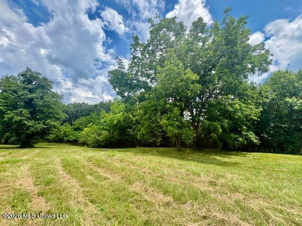 703 Burton Road, Senatobia, MS 38668 — photo 4