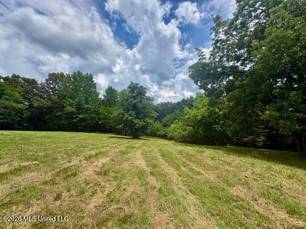 703 Burton Road, Senatobia, MS 38668 — photo 5