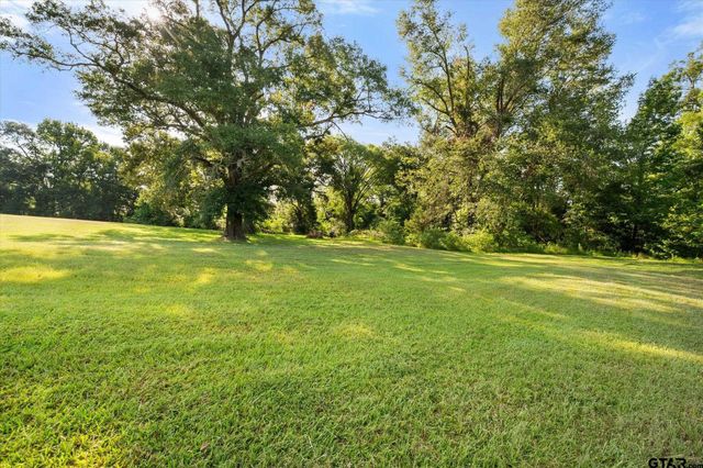 5568 S Fm 779, Alba, TX 75410