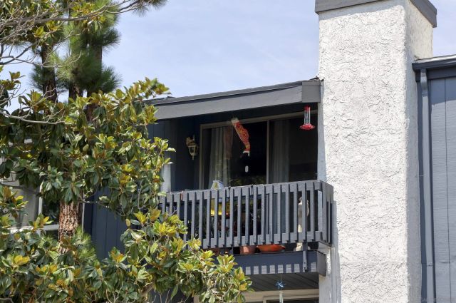 5003 Westpark Dr. 203, North Hollywood, CA 91601