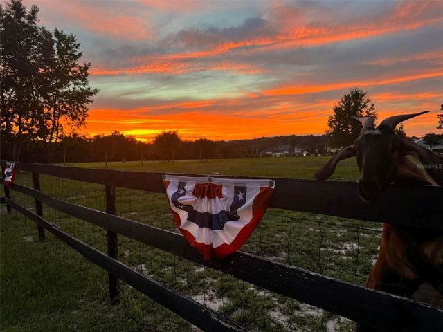 1636 LAKE ELLA ROAD, Fruitland Park, FL 34731