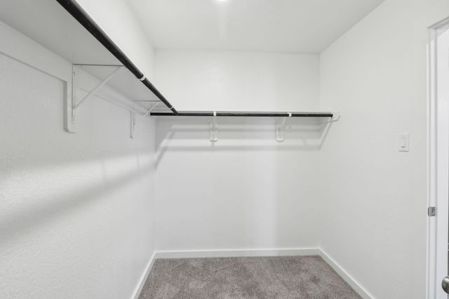 2046 West Darlington Oak Court, Conroe, TX 77304