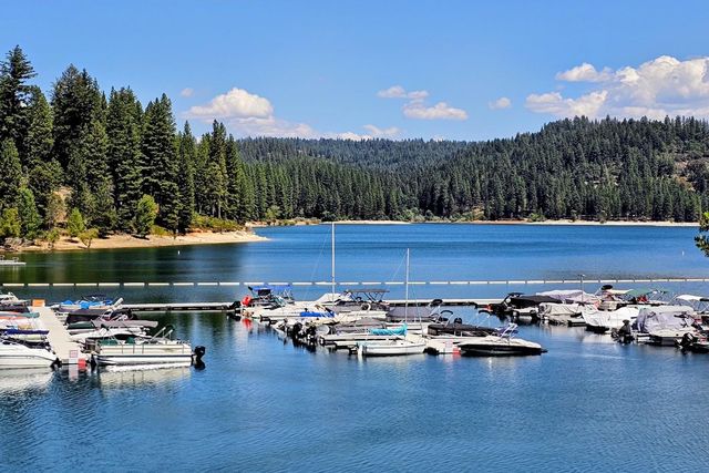 5690 Lupin Ln, Pollock Pines, CA 95726
