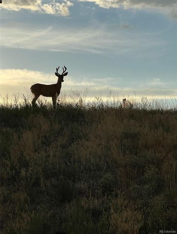 455 Rogers Way, Castle Rock, CO 80104