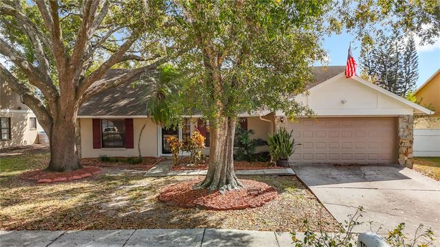 15005 REDCLIFF DRIVE, Tampa, FL 33625