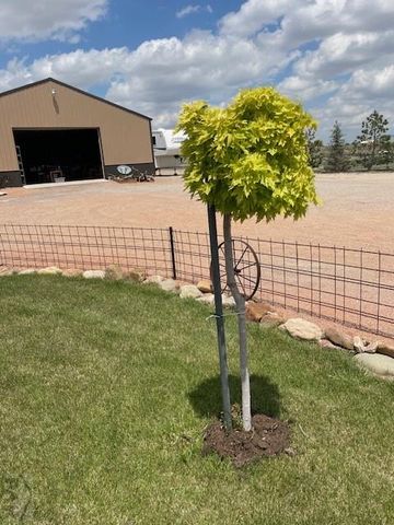 1193 E Sapinero Dr, Pueblo West, CO 81007