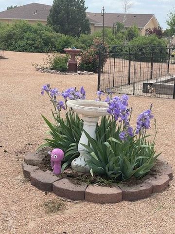 1193 E Sapinero Dr, Pueblo West, CO 81007