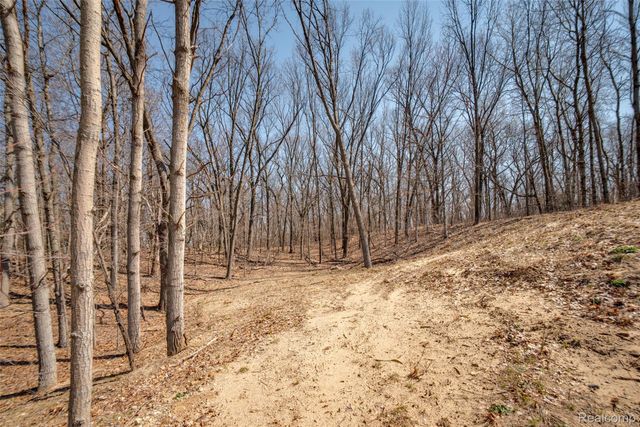 16085 Catalpa Ridge Drive, Holly Township, MI 48442