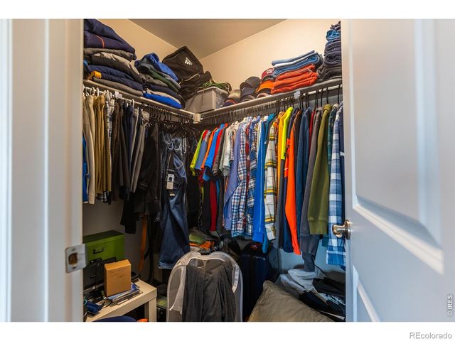 5319 Osbourne Drive, Windsor, CO 80550