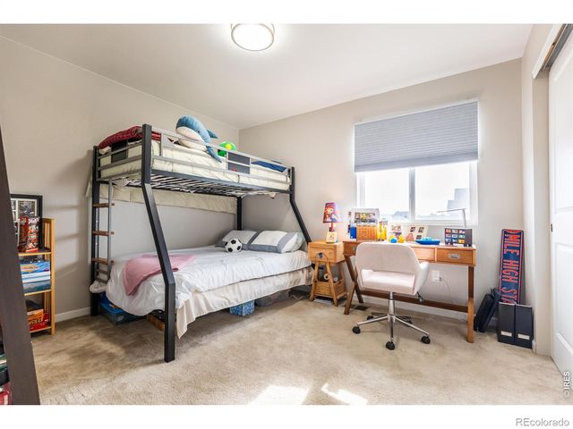 5319 Osbourne Drive, Windsor, CO 80550