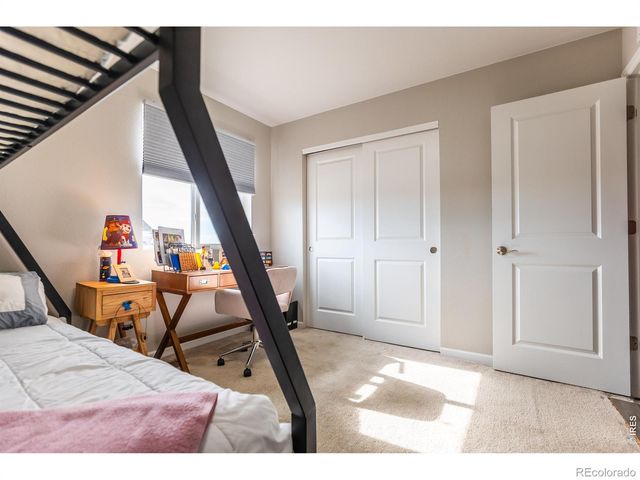 5319 Osbourne Drive, Windsor, CO 80550