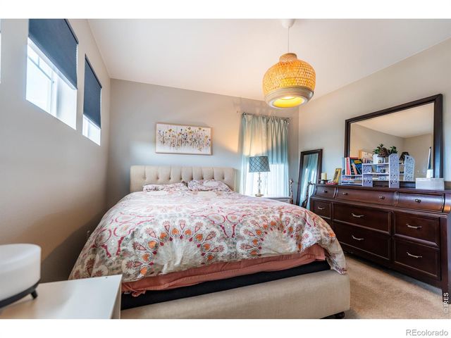 5319 Osbourne Drive, Windsor, CO 80550