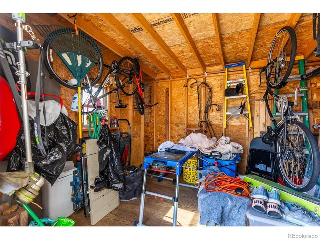 5319 Osbourne Drive, Windsor, CO 80550