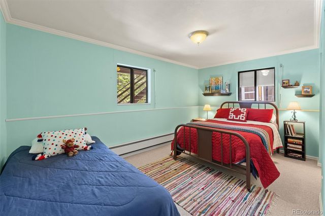 218 Brook Drive, Idaho Springs, CO 80452
