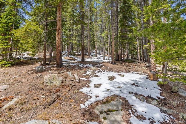 218 Brook Drive, Idaho Springs, CO 80452