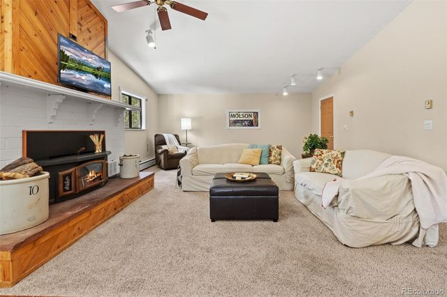 218 Brook Drive, Idaho Springs, CO 80452