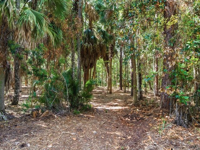 OSOWAW BOULEVARD, Spring Hill, FL 34607