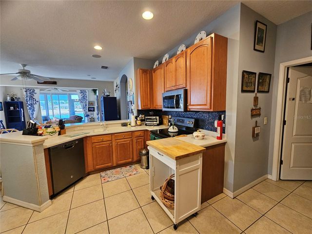 1134 JAMESON GREENS DRIVE, Sun City Center, FL 33573