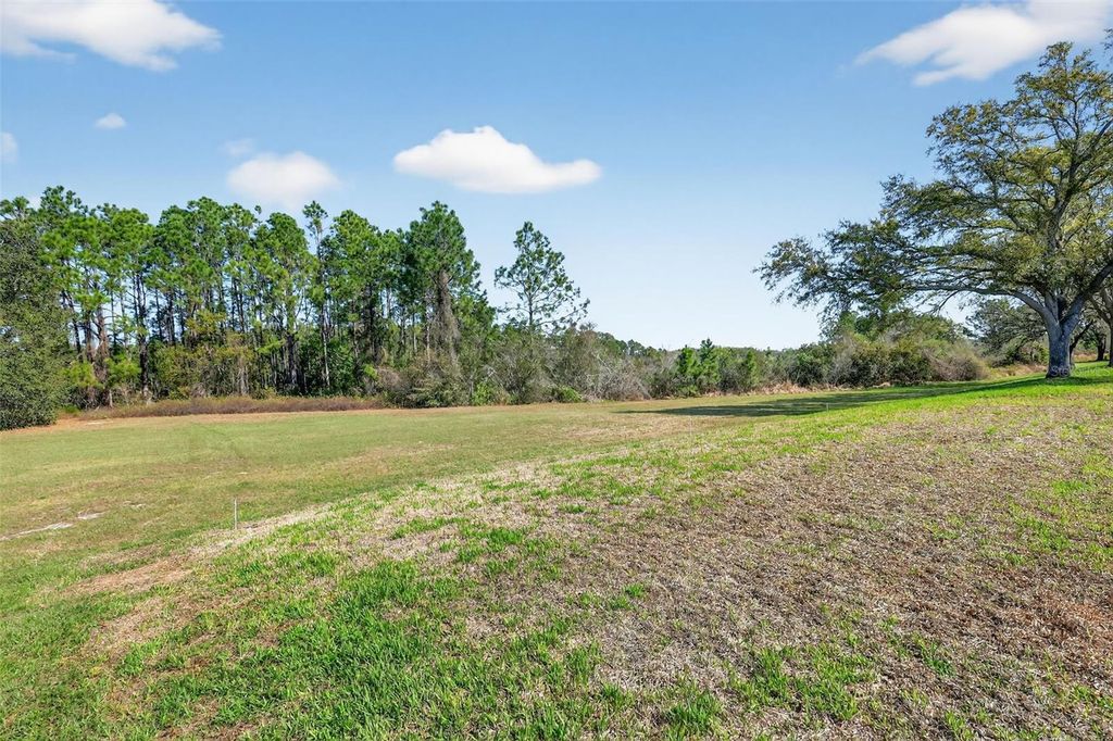 Image 50 of property listing at 5421 SIR CHURCHILL DRIVE, Leesburg, FL 34748