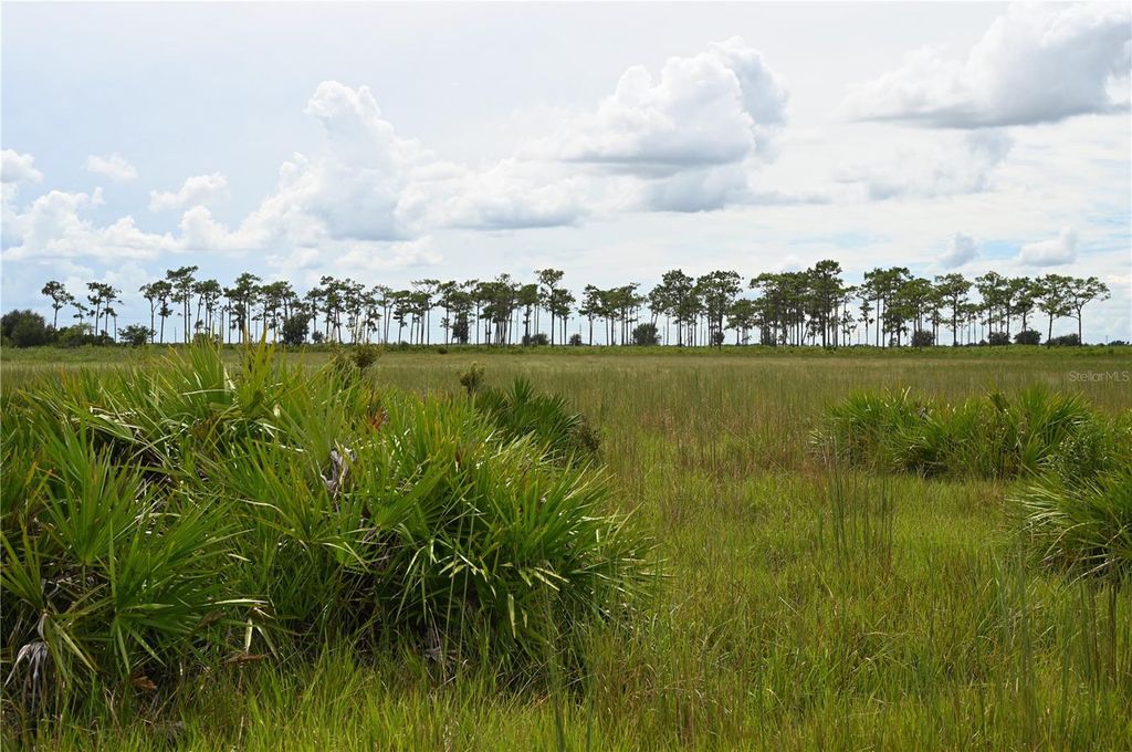 COUNTY LINE ROAD E, Fort Meade, FL 33841