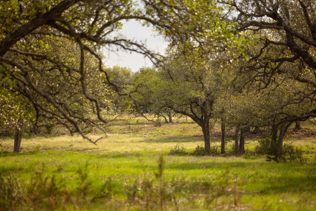 2609 Prochnow Rd, Dripping Springs, TX 78620