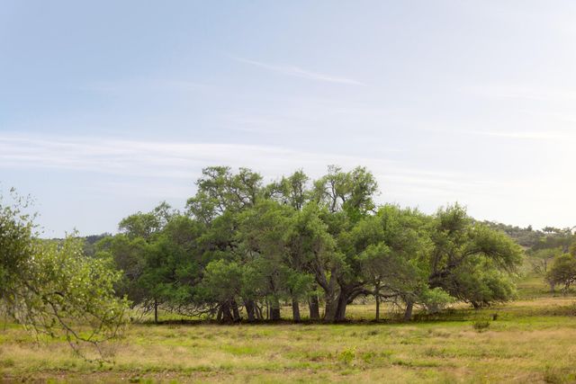 2609 Prochnow Rd, Dripping Springs, TX 78620