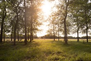 2609 Prochnow Rd, Dripping Springs, TX 78620