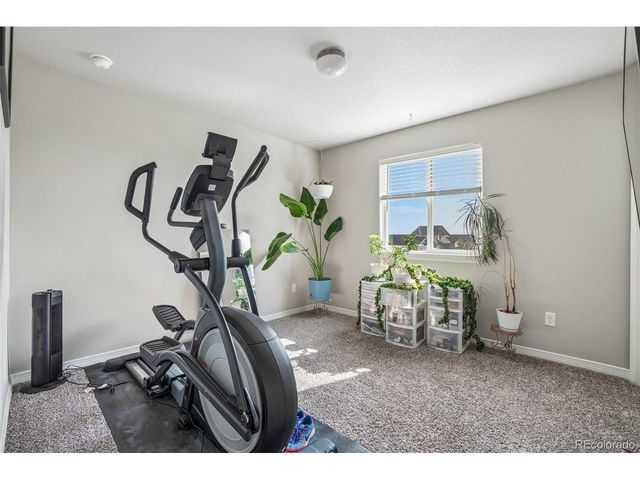 4988 Priors Dr, Windsor, CO 80550