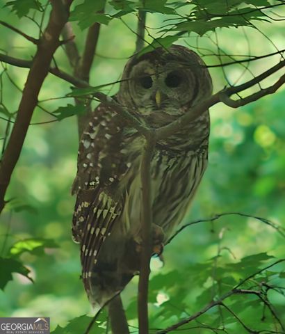 5108 Nicolet Court, Marietta, GA 30062