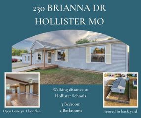 230 Brianna Drive, Hollister, MO 65672