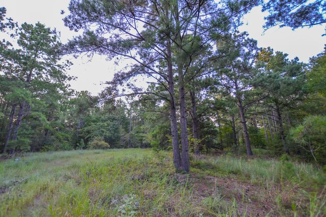 Tract 1 Hwy 155, Frankston, TX 75763