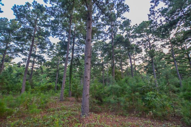 Tract 1 Hwy 155, Frankston, TX 75763