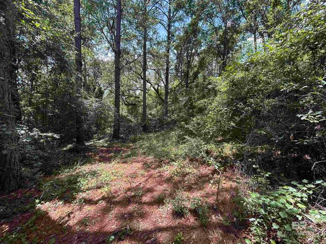 10790 Cattle Branch Court, Mobile, AL 36608