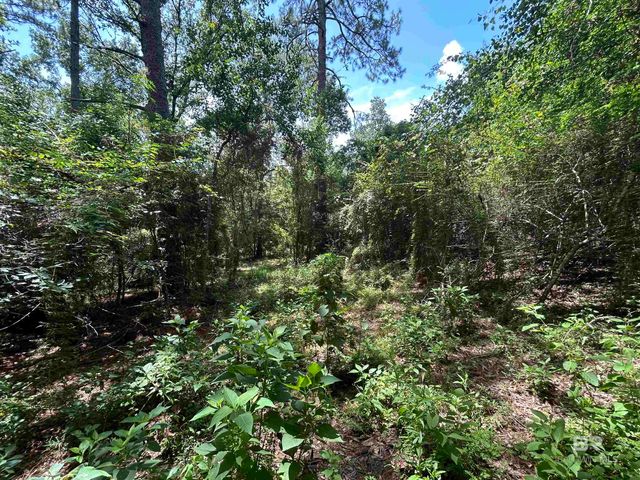 10790 Cattle Branch Court, Mobile, AL 36608