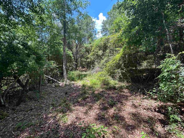 10790 Cattle Branch Court, Mobile, AL 36608