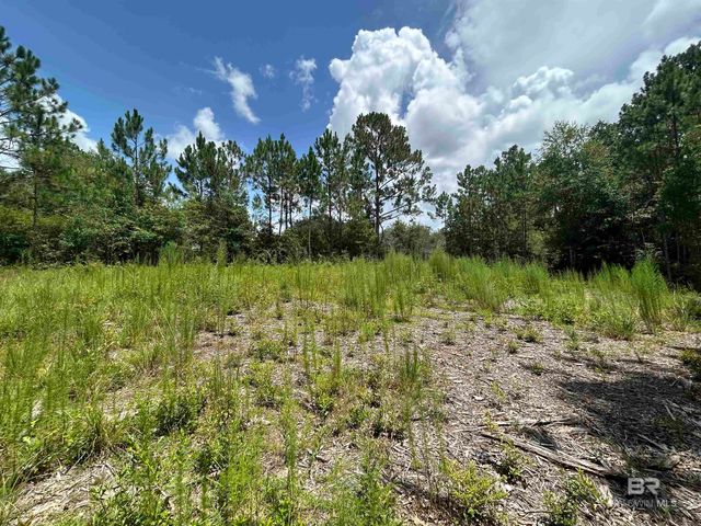 10790 Cattle Branch Court, Mobile, AL 36608