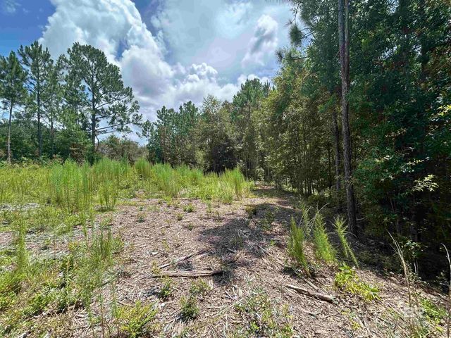 10790 Cattle Branch Court, Mobile, AL 36608