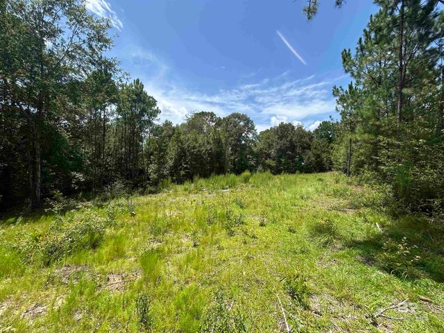 10790 Cattle Branch Court, Mobile, AL 36608