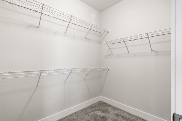 369 Palmetto Sand Loop, Conway, SC 29527