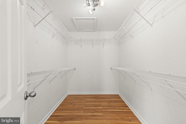 6303 SALISBURY RETREAT, King George, VA 22485