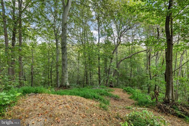 6303 SALISBURY RETREAT, King George, VA 22485