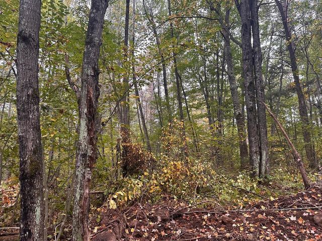 0 Sabin Road, Hayward, WI 54843