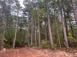 0 Sabin Road, Hayward, WI 54843